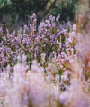 Les tendances de couleur des accessoires ce printemps