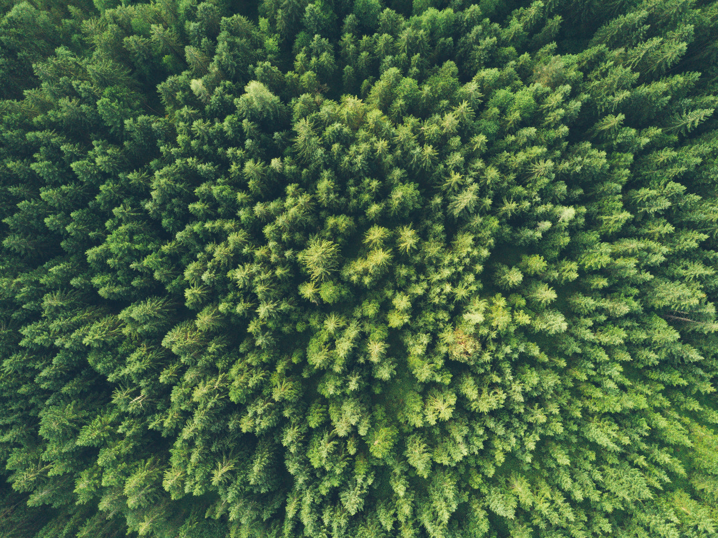 La journée mondiale de l’environnement avec Le Vent à la Française