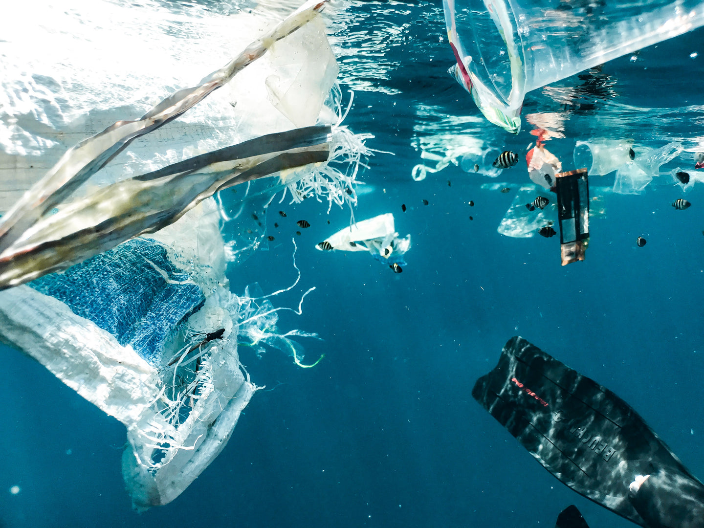 La journée mondiale de la pollution